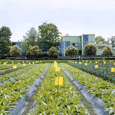 智慧生態日光溫室種植實施方案 物聯網蔬菜大棚整體設計方案